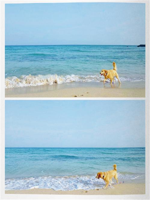 6cf171bc537304ef70abbb584e8ea3db_1690442322_0647.jpg 6cf171bc537304ef70abbb584e8ea3db_1690442322_0647.jpg