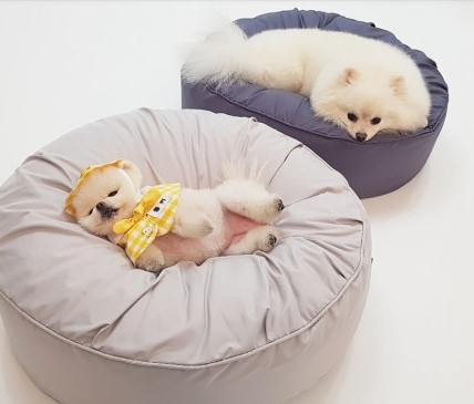 더소이 논슬립 뚱땡이방석