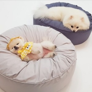 더소이 논슬립 뚱땡이방석